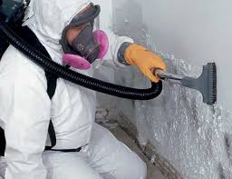 Why You Should Choose Our Mold Remediation Services in Girard, OH